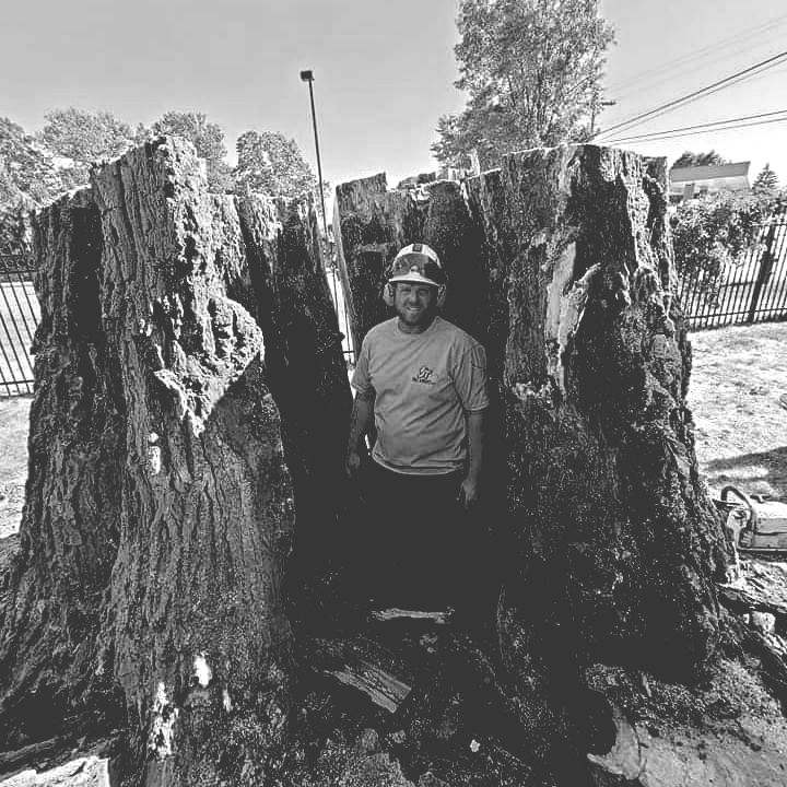 Giant Tree Stump with Tyler Mobley before grinding