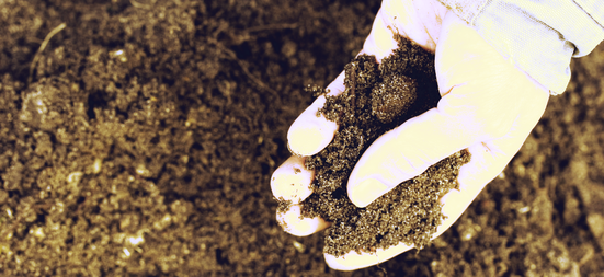 Hand holding healthy soil