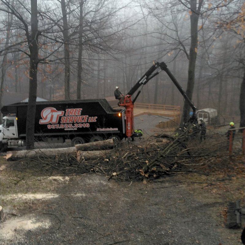 JT Tree Service truck removing tree with a crane