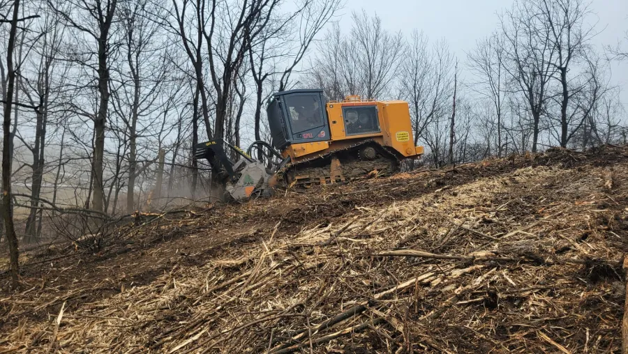 Land Clearing
