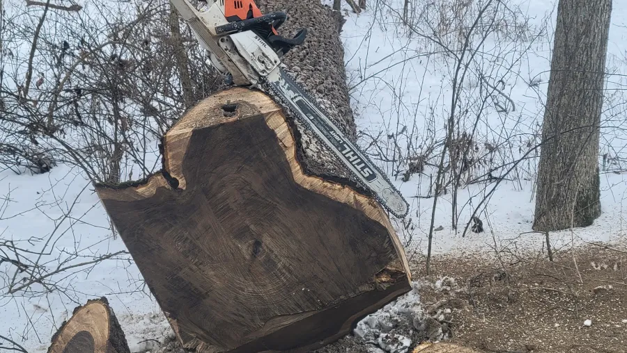 Tree Removal