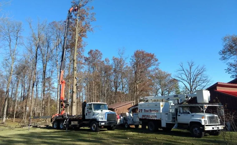 jt tree service llc rushsylvania oh 2025 12 05T14:28:44.584683Z 69725.45384081265