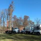 jt tree service llc rushsylvania oh 2025 12 05T14:28:44.584683Z 69725.45384081265